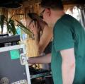 Chalwa Sound (D)  30. Reggae Jam Festival - Roots Camp - Bersenbrueck - 27. Juli 2024 (5).JPG